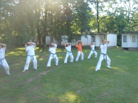 Tata, 2008.